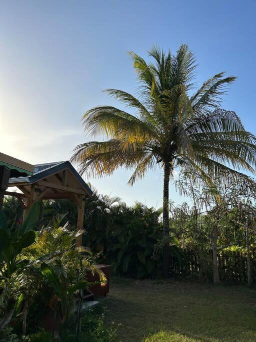 Bungalow Avec Jacuzzi Privatif Villa Sainte-Rose Eksteriør bilde